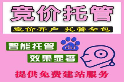 SEM优化实战：案例分析与优化建议
